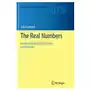 Real numbers Springer international publishing ag Sklep on-line