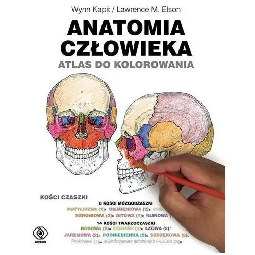 Anatomia człowieka. atlas do kolorowania Rebis