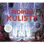 Piorun kulisty. Audiobook Sklep on-line