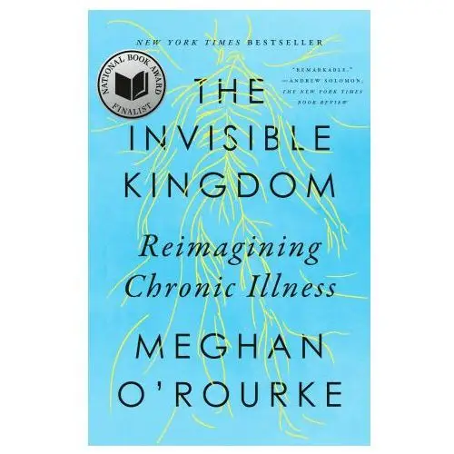 Riverhead The invisible kingdom: reimagining chronic illness