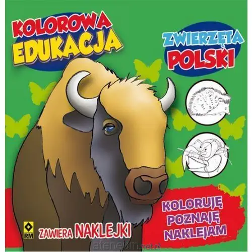 Kolorowa edukacja - zwierzęta polski