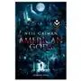 Rocabolsillo American gods (spanish edition) Sklep on-line