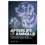 Rockridge pr Afterlife of animals: a guide to healing from loss and communicating with your beloved pet Sklep on-line