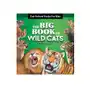 The big book of wild cats: fun animal facts for kids Rockridge pr Sklep on-line