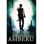 Roger zelazny Kroniki amberu. tom 2 Sklep on-line