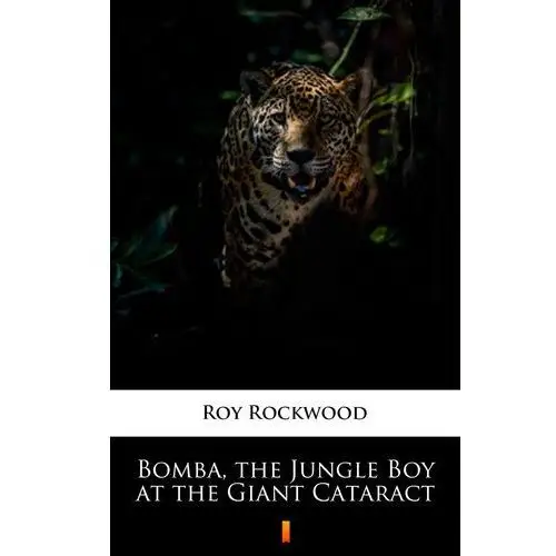 Bomba, the jungle boy at the giant cataract Roy rockwood