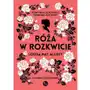 Róża w rozkwicie Sklep on-line