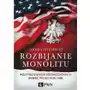 Rozbijanie monolitu. Polityka Stanów Zjednoczonych wobec Polski 1945-1988 Sklep on-line