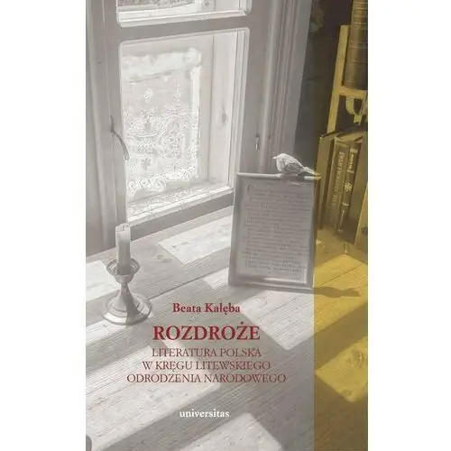 Rozdroże. Literatura polska w kręgu litewskiego odrodzenia narodowego