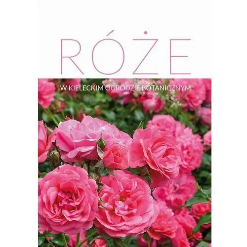 Róże w kieleckim ogrodzie botanicznym, AZ#619717DEEB/DL-ebwm/pdf