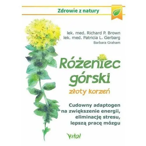 Różeniec górski – złoty korzeń. Cudowny adaptogen na zwiększenie energii eliminację stresu lepszą pracę mózgu i wiele innych