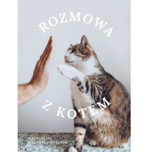 Rozmowa z kotem