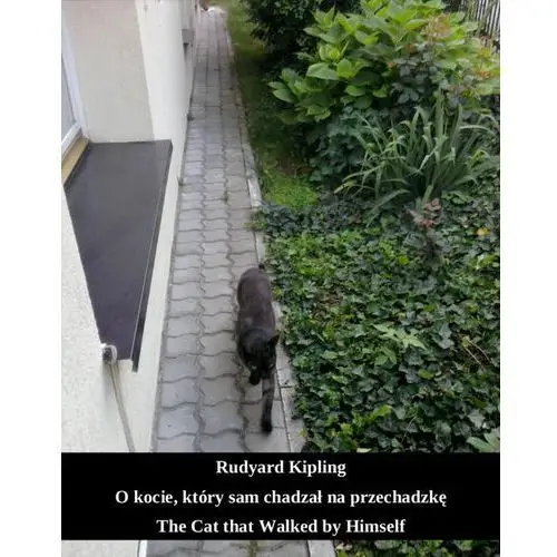 Rudyard kipling O kocie, który sam chadzał na przechadzkę. the cat that walked by himself