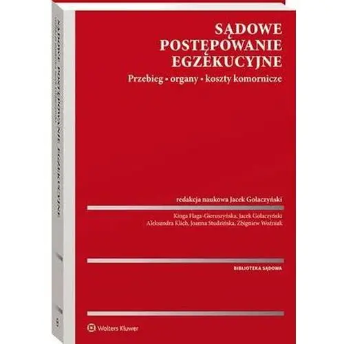 Sądowe postępowanie egzekucyjne. Przebieg, organy, koszty komornicze