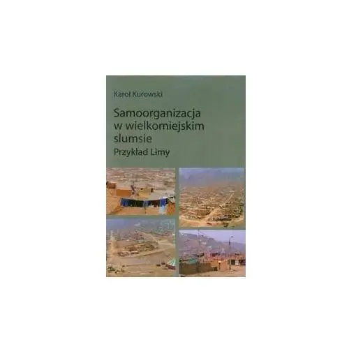 Samoorganizacja w wielkomiejskim slumsie. Przykład Limy