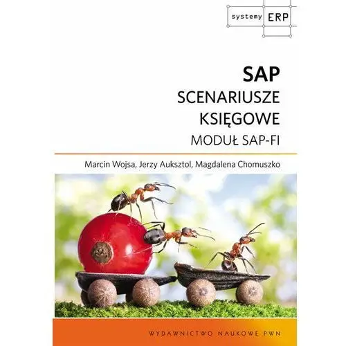 SAP. Scenariusze księgowe