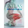 Atlas anatomiczny Sklep on-line