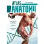 Atlas anatomii Sklep on-line