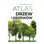 Atlas drzew i krzewów. wydawnictwo Sbm Sklep on-line