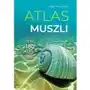 Atlas muszli Sklep on-line