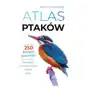 Sbm Atlas ptaków Sklep on-line