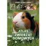 Sbm Atlas zwierząt domowych. wydanie 2022 Sklep on-line