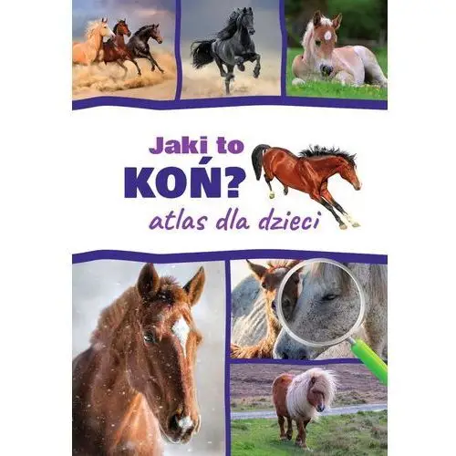 Sbm Jaki to koń? atlas dla dzieci