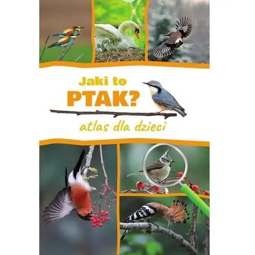 Jaki to ptak? atlas dla dzieci Sbm