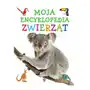 Moja encyklopedia zwierząt Natalia Kawałko Sklep on-line