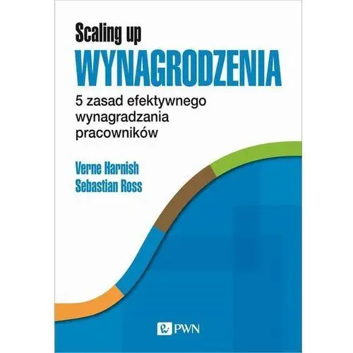 Scaling Up Wynagrodzenia (E-book)