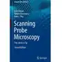 Scanning Probe Microscopy Meyer, Ernst; Bennewitz, Roland; Hug, Hans J Sklep on-line