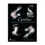 Geisha: women of japans flower and willow world Schiffer publishing ltd Sklep on-line