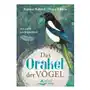 Schirner verlag Das orakel der vögel Sklep on-line