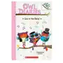 Eva in the Band: A Branches Book (Owl Diaries #17) Sklep on-line