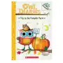 Trip to the pumpkin farm: a branches book (owl diaries #11) Scholastic Sklep on-line