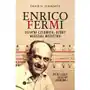 Schwartz david n Enrico fermi Sklep on-line