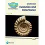 Science Bug: Evolution and inheritance Workbook Stringer, John; Herridge, Deborah Sklep on-line