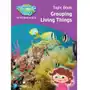 Science Bug: Grouping living things Topic Book Stringer, John; Herridge, Deborah Sklep on-line