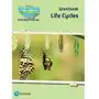 Science bug: life cycles workbook Sklep on-line