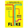 Fluke: Chance, Chaos, and Why Everything We Do Matters Sklep on-line