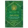 Secrets of the druids Inner traditions bear and company Sklep on-line