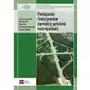 Powiązania funkcjonalne pomiędzy polskimi metropoliami, AZ#E353AA8AEB/DL-ebwm/pdf Sklep on-line