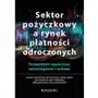 Sektor pożyczkowy a rynek płatności odroczonych. Perspektywa regulacyjna, technologiczna i rynkowa Sklep on-line