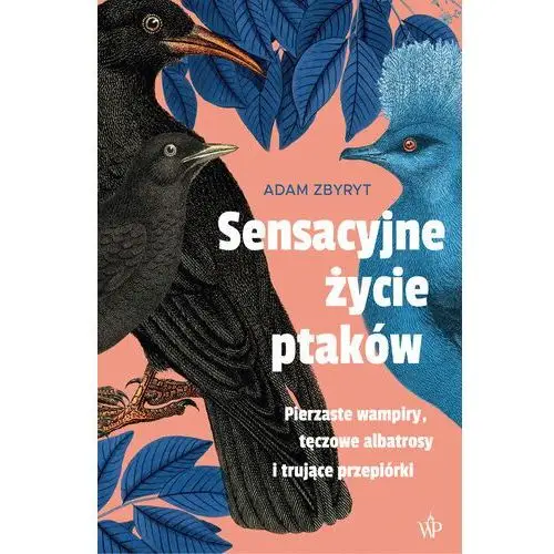 Sensacyjne życie ptaków