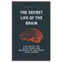 Sergio rijo The secret life of the brain Sklep on-line