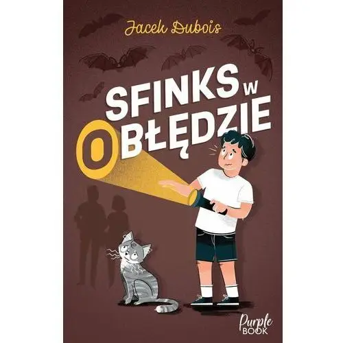 Sfinks w (o)błędzie