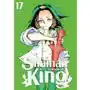 Shaman King. Tom 17 Sklep on-line