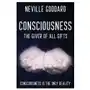 Shanon allen Neville goddard - consciousness; the giver of all gifts Sklep on-line