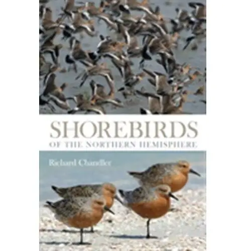 Shorebirds of the Northern Hemisphere Chandler Steve, Richardson Scott