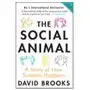Social animal Short books ltd Sklep on-line